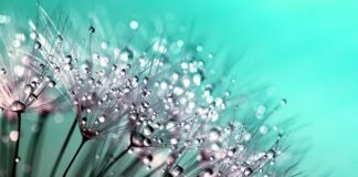 Jak długo trzyma kropelka?