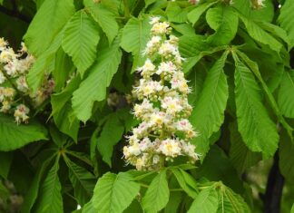 Jak wypadają matury 2023?