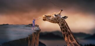 Jak szybko pierś napełniają się mlekiem po karmieniu?