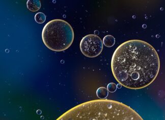 Jak utrzymać się na wodzie na brzuchu?