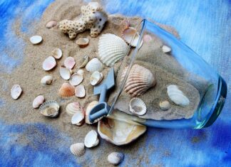 Ile razy w tygodniu ćwiczyć na wioślarzu?