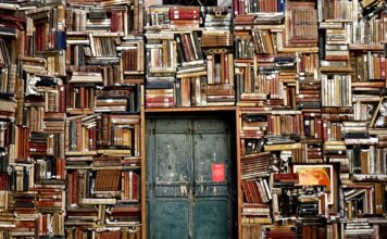 Na czym polega Biblioteka w Biedronce?