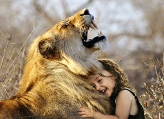 Jaka jest najlepsza Kendama?