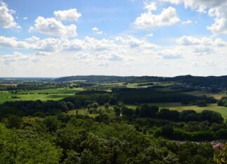 Jak zmusić dwulatka do jedzenia?