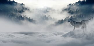 W co ubrać noworodka na wyjście ze szpitala zima?