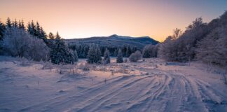 Jak dobrać oponę do wózka dziecięcego?