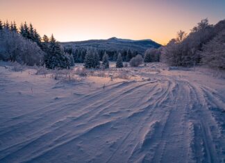 Jak dobrać oponę do wózka dziecięcego?