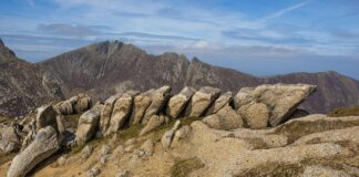 Jak szybko układać puzzle?