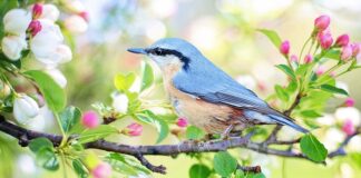 Jak urządzić mały pokój dla dwóch nastolatków?